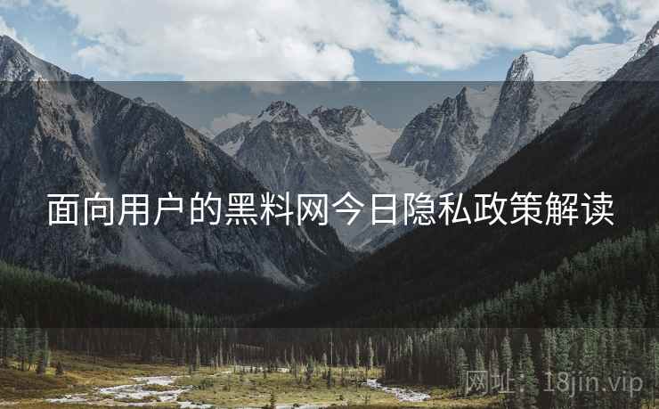 面向用户的黑料网今日隐私政策解读