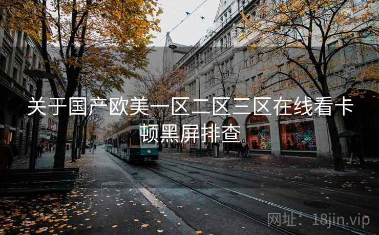 关于国产欧美一区二区三区在线看卡顿黑屏排查