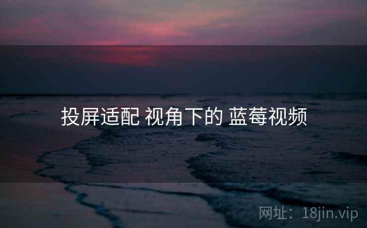 投屏适配 视角下的 蓝莓视频