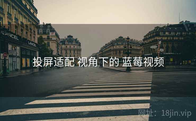 投屏适配 视角下的 蓝莓视频
