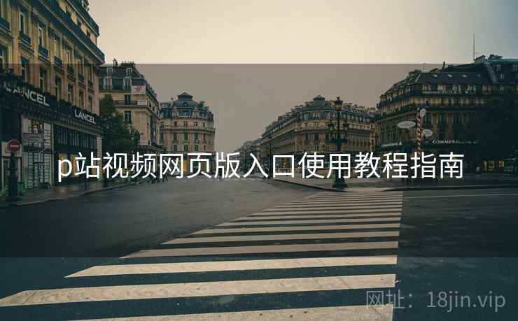 p站视频网页版入口使用教程指南