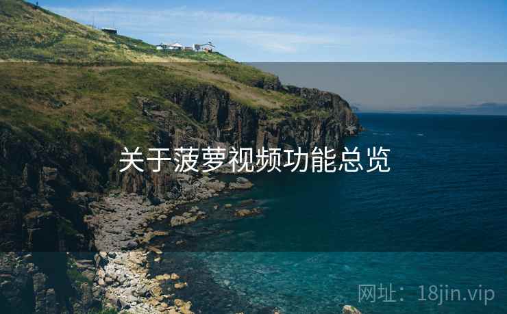关于菠萝视频功能总览