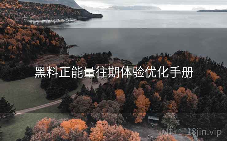 黑料正能量往期体验优化手册