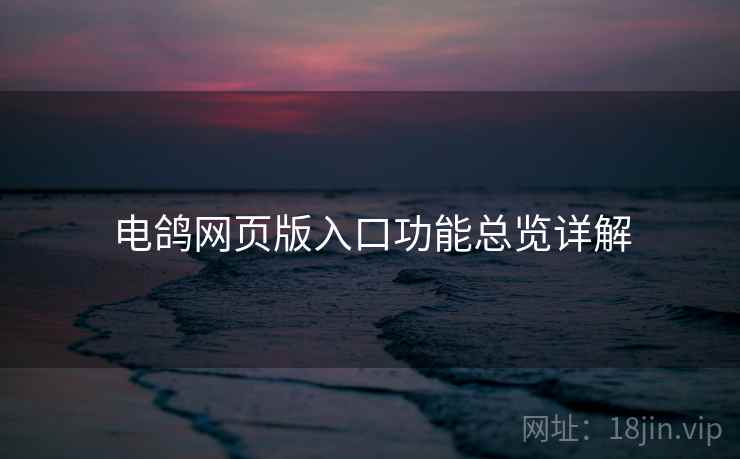 电鸽网页版入口功能总览详解