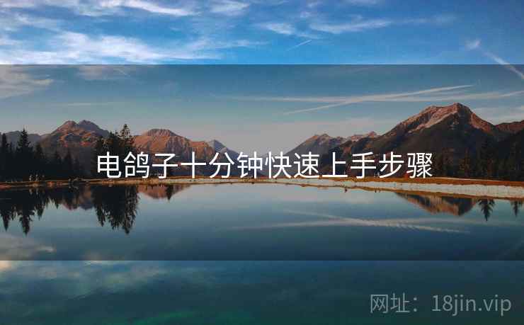 电鸽子十分钟快速上手步骤