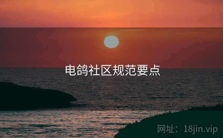 电鸽社区规范要点