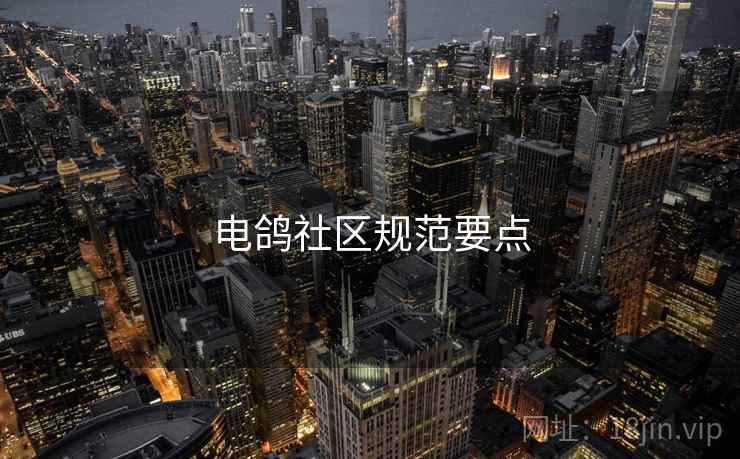 电鸽社区规范要点