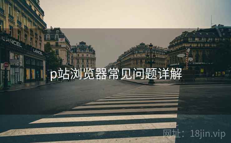 p站浏览器常见问题详解