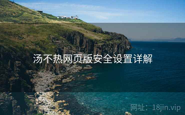 汤不热网页版安全设置详解