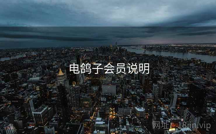 电鸽子会员说明