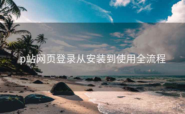 p站网页登录从安装到使用全流程