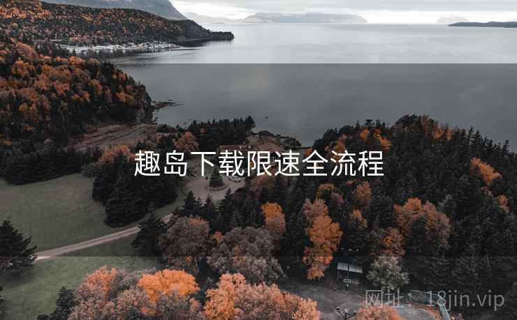 趣岛下载限速全流程