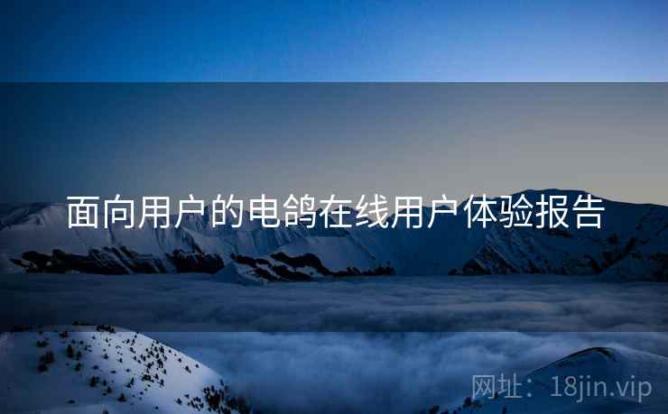面向用户的电鸽在线用户体验报告