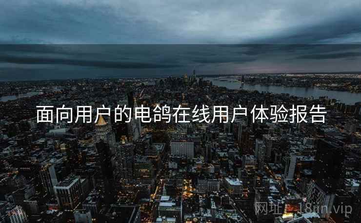 面向用户的电鸽在线用户体验报告