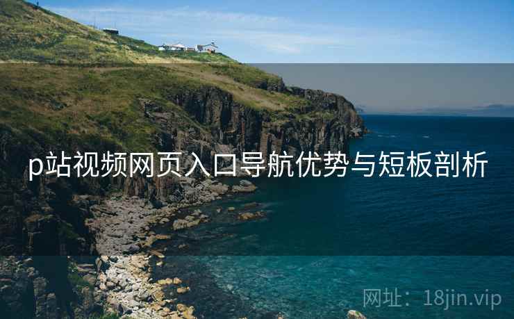 p站视频网页入口导航优势与短板剖析