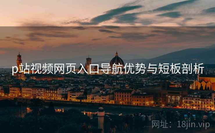 p站视频网页入口导航优势与短板剖析