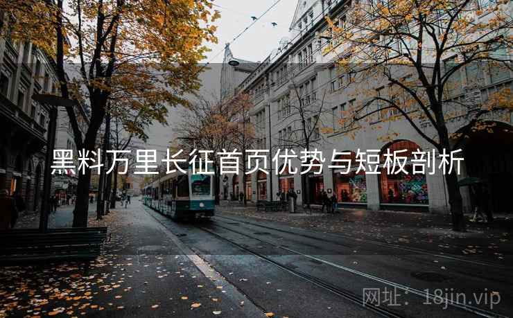 黑料万里长征首页优势与短板剖析