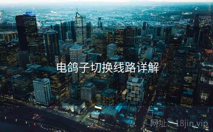电鸽子切换线路详解