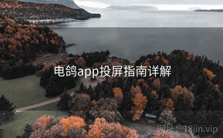 电鸽app投屏指南详解