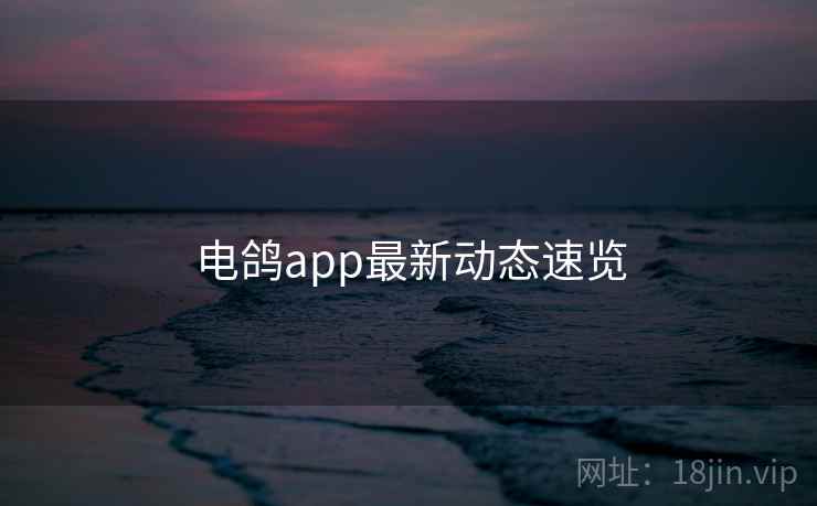 电鸽app最新动态速览
