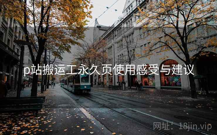 p站搬运工永久页使用感受与建议
