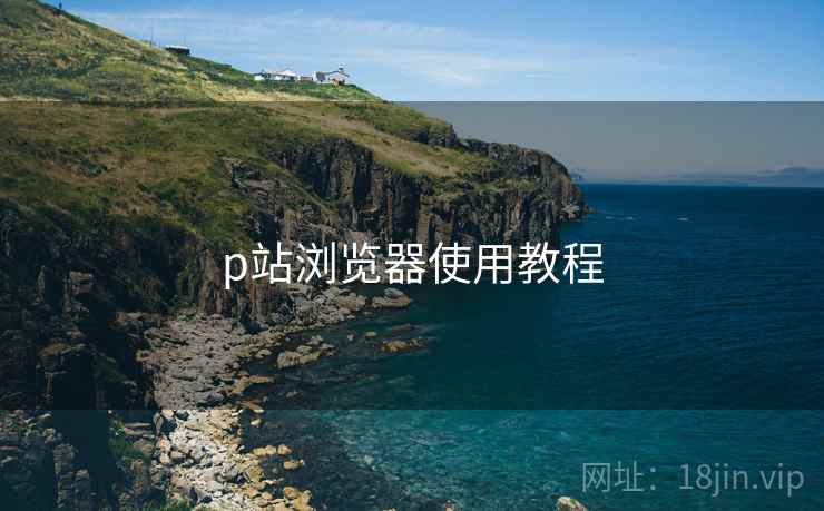 p站浏览器使用教程
