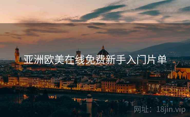 亚洲欧美在线免费新手入门片单
